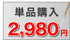 単品購入 2,980円